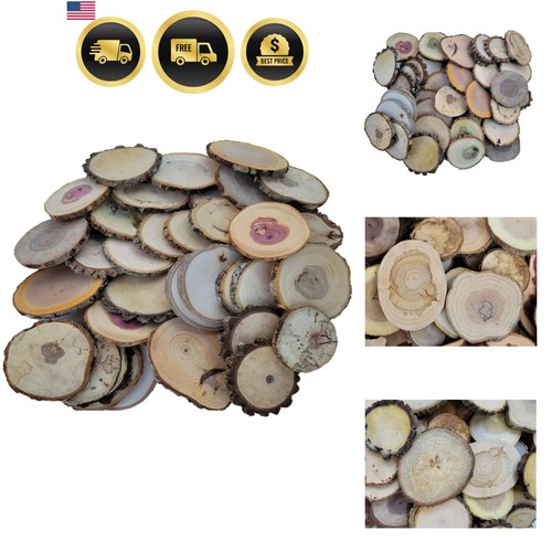 Wood slice variety pack - slice,